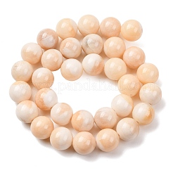 Natürliche gelbe Jade Perlen Stränge&nbsp;G-T150-A07-12mm