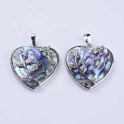Abalone Muschel / Paua Muschel Anhänger&nbsp;SSHEL-L008-01P