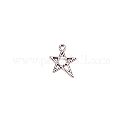 Colgantes de estilo tibetano&nbsp;FIND-WH0048-34AG