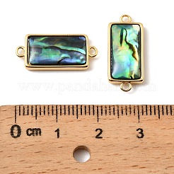 Natürliche Paua-Muschel Rechteck-Verbinder-Charms&nbsp;KK-G538-41G