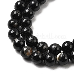 Chapelets de perles en tourmaline noire naturelle&nbsp;G-F666-05-6mm