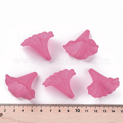 Abalorios de acrílico transparentes&nbsp;X-BSF796-C16