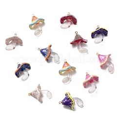 Pendentifs en résine transparente halloween&nbsp;RESI-A048-02
