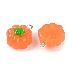 Pendentifs en résine opaque&nbsp;LS-RESI-N039-124