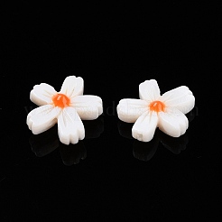 Naturali di acqua dolce perline shell fili&nbsp;SHEL-F004-04-01