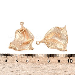 Pendentifs en laiton&nbsp;KK-G532-09G