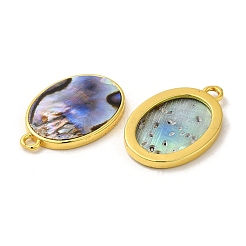 Natur Paua Muschel Anhänger&nbsp;KK-E059-11G