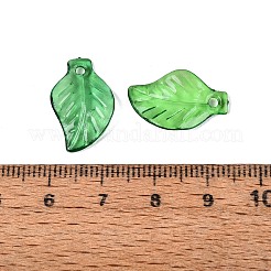 Pendentifs en acrylique transparent &nbsp;X-TACR-436-17