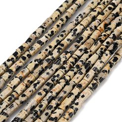 Natur Dalmatiner Jaspis Perlen Stränge&nbsp;G-P600-B01-01