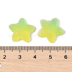 Cabochons en résine imitation bonbons style alimentaire&nbsp;X1-RESI-R461-02M