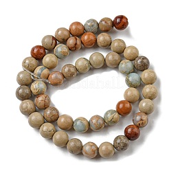 Fili di perline naturali aqua jasper&nbsp;G-E444-14B-14mm