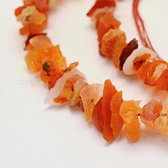 Fili di perline di gemstone naturale&nbsp;G-K202-12