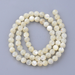 Naturali di mare shell perle fili&nbsp;X-SSHEL-S252-03