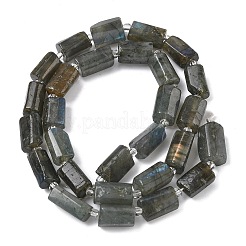 Chapelets de perles en labradorite naturelle &nbsp;G-C270-K19-02