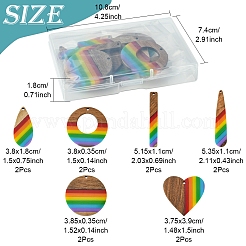 12 Stück 6 Stile Pride Regenbogen Thema Harz & Walnuss Holz Anhänger&nbsp;WOOD-FS0001-32