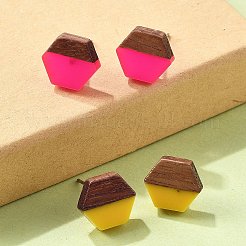 Pendientes de resina y nogal&nbsp;EJEW-R013-01P