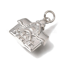 Messing Anhänger & Charms&nbsp;KK-CBAEEA8-18P