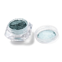 Thermochromes Pulver der Nagelkunst&nbsp;LS-AJEW-B022-08