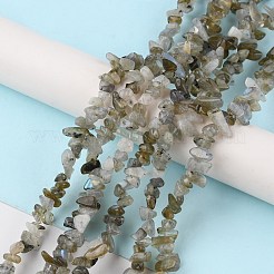 Perline labradorite naturale fili&nbsp;G-G0003-B32