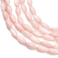 Eau douce naturelle de coquillage perles brins&nbsp;SHEL-C010-01F