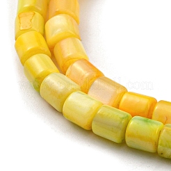 Naturali di acqua dolce perline shell fili&nbsp;SHEL-F008-04E