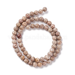 Chapelets de perles maifanite/maifan naturel pierre &nbsp;G-P451-01B-B