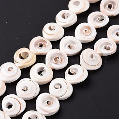 Natürlichen Spiralmuschelperlen Stränge&nbsp;SSHEL-G023-06