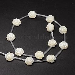 Fili di perle di conchiglia trochid naturale / trochus&nbsp;SSHEL-K010-02