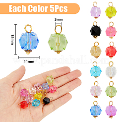 60 Uds. Colgantes acrílicos transparentes de 12 colores&nbsp;PALLOY-AB00123