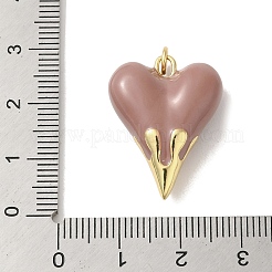 Pendentifs de placage en laiton&nbsp;KK-S366-06G-07