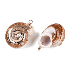 Galvanische natürliche Spiralschalenanhänger&nbsp;SSHEL-Q100-34G