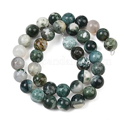 Chapelets de perles en agate d'arbre naturelle&nbsp;G-I199-03-10mm