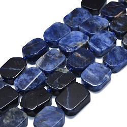 Chapelets de perles en sodalite naturelle, rectangle, 15~17x10~13x5~7mm, Trou: 1mm, Environ 22 pcs/chapelet, 15.94 pouce (40.5 cm)