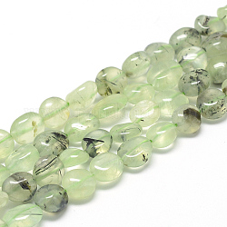 Chapelets de perles en préhnite naturelle, ovale, 8~15x7~12x4~12mm, Trou: 1mm, Environ 30~45 pcs/chapelet, 15.7