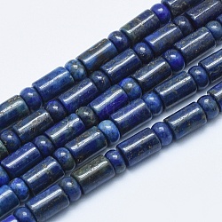 Filo di Perle lapis lazuli naturali , tinto, colonna, colonna: 9x6 mm, schiena piatta:6x3.5mm, Foro: 1 mm, circa 31pcs/filo, 15.94 pollice (40.5 cm)