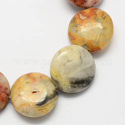 Perles de pierre gemme rond et plat agate folle de pierre brins, verge d'or pale, 12x5mm, Trou: 1mm, Environ 33 pcs/chapelet, 15.7 pouce
