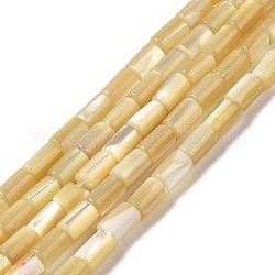 Brins de perles de coquillages naturels de troca, colonne, 4.5~5x3mm, Trou: 0.8mm, Environ 81 pcs/chapelet, 15.47'' (39.3 cm)