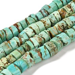Chapelets de perles en turquoise naturelle, disque, 8~9x4.5~7.5mm, Trou: 0.8mm, Environ 71 pcs/chapelet, 15.94'' (40.5 cm)