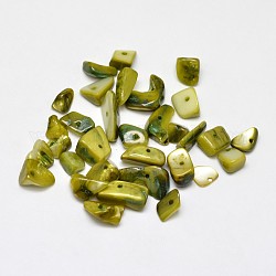 Крашеные натуральные пресноводные ракушки, осколки оболочки, оливковый, 7~11x5~8 мм, отверстие : 1 мм, Около 980 шт / 500 г
