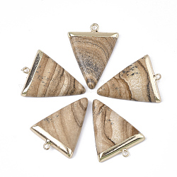 Гальваническое покрытие натуральная картина яшма подвески, с железной фурнитурой, треугольные, золотые, 30~34x23x5~5.5 мм, отверстие : 1.6 мм