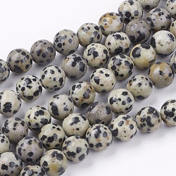 Dalmatien naturel jaspe brins pierre de perles, ronde, 8mm, Trou: 1mm, Environ 48 pcs/chapelet, 14.9 pouce