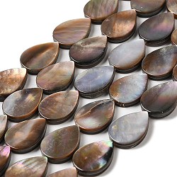 Chapelets de perles en coquillage naturel, larme, 14x10x2~2.5mm, Trou: 0.8mm, Environ 28 pcs/chapelet, 15.59'' (39.6 cm)