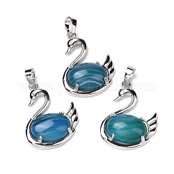 Natural Blue Agate Pendants, with Platinum Tone Brass Findings, Cadmium Free & Lead Free, Swan, 32x25x7.3mm, Hole: 8mm