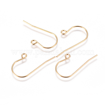 304 Stainless Steel Earring Hooks STAS-F227-29-G-1