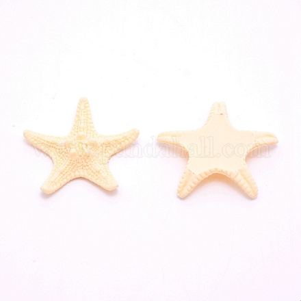 Harz Cabochons&nbsp;LS-RESI-WH0024-64A-1