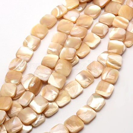 Carrés spirale naturelle perles de coquillage brins SHEL-E355-12-1
