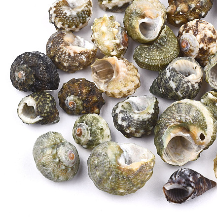 Perles de coquillages en spirale SSHEL-T005-03-1