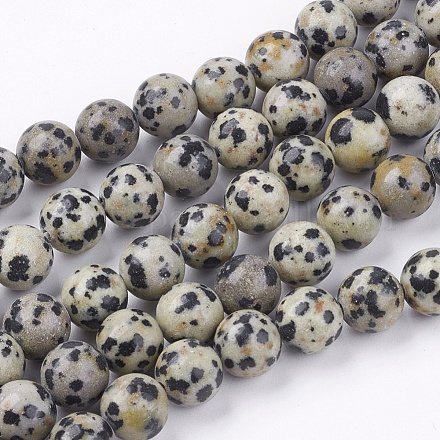 Natural Dalmatian Jasper Stone Bead Strands G-R193-14-8mm-1
