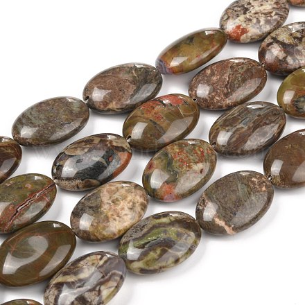 Chapelets de perles en jaspe d'océan naturelle G-L164-B-20-1