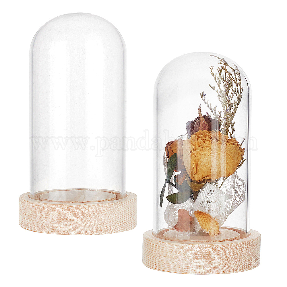 Wholesale NBEADS 2 Sets Glass Display Dome - Pandahall.com